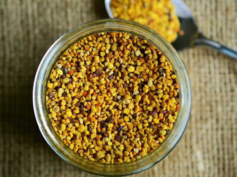 Blütenpollen © Pixabay (congerdesign)