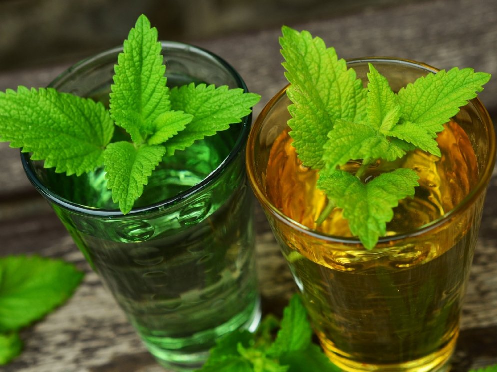 WL_Melisse © Pixabay (congerdesign-509903)