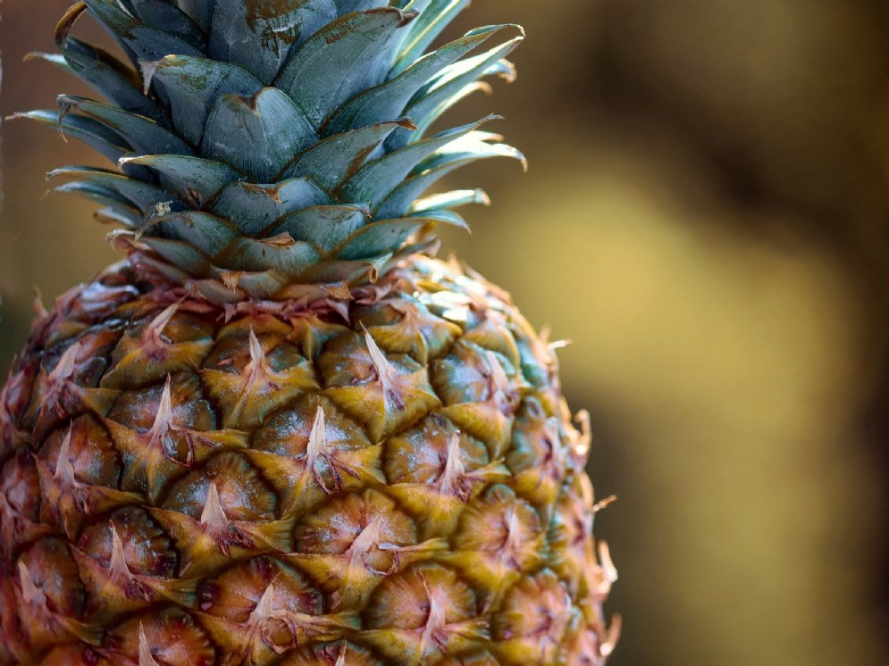 WL_Ananas © Pixabay (Manfred Richter)
