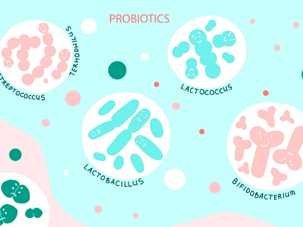 Probiotics © Adobe Stock