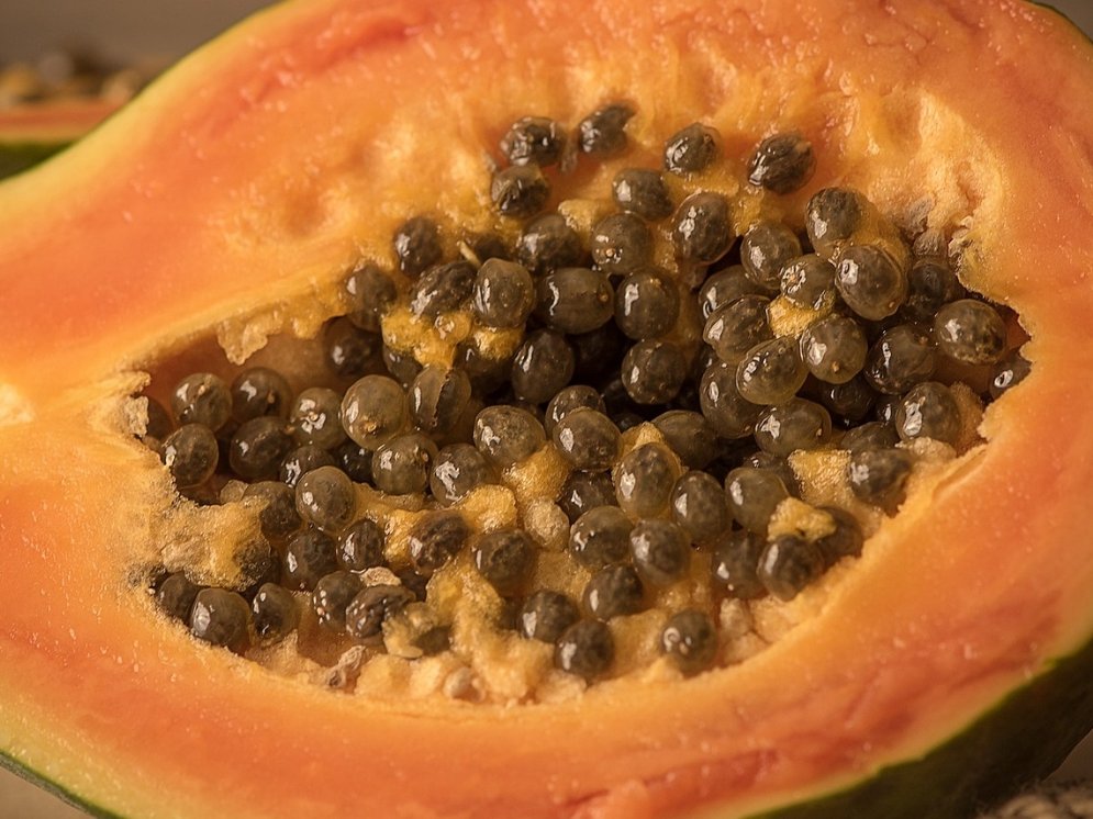 WL_Papaya © Pixabay (Petra)