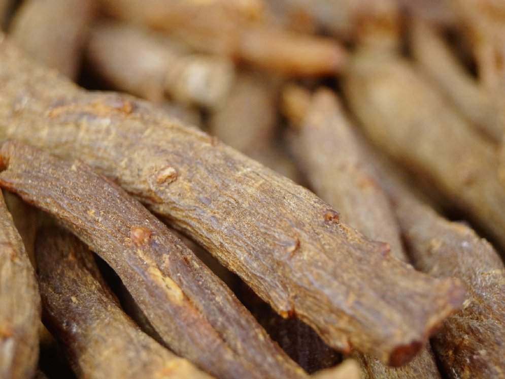 WL_Ginseng-Wurzeln rot © Adobe Stock