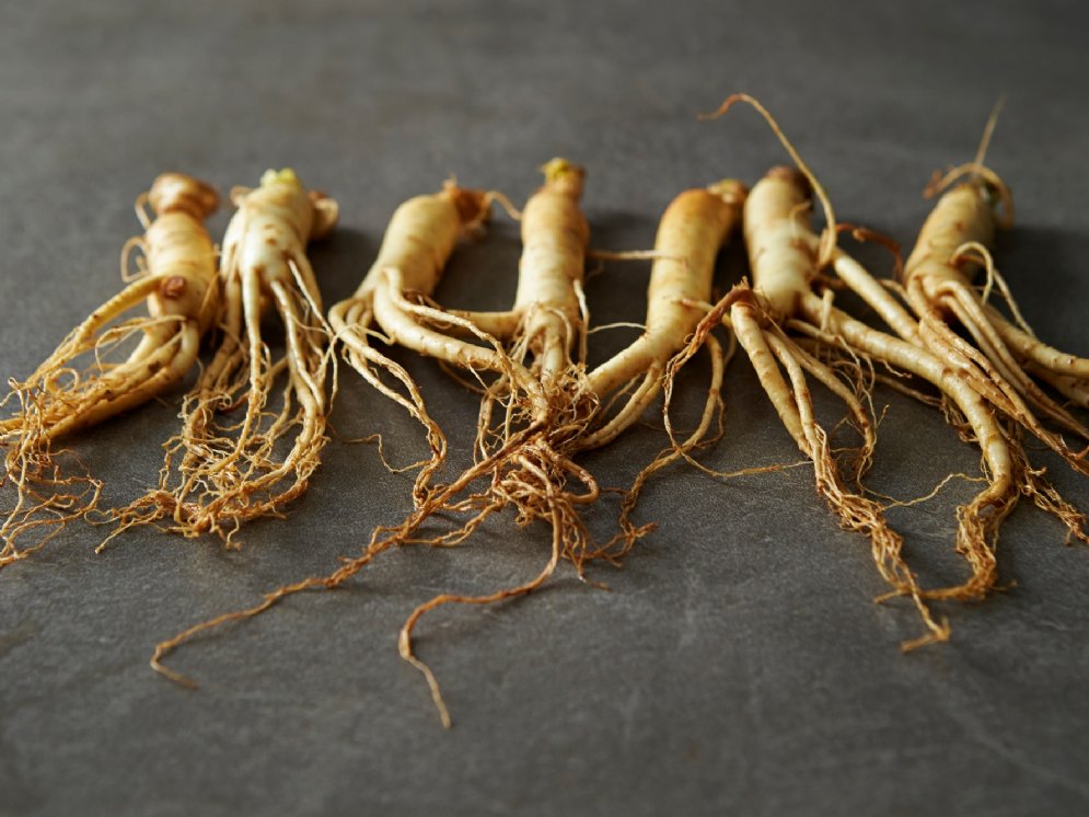 WL_Ginseng-Wurzeln © Adobe Stock