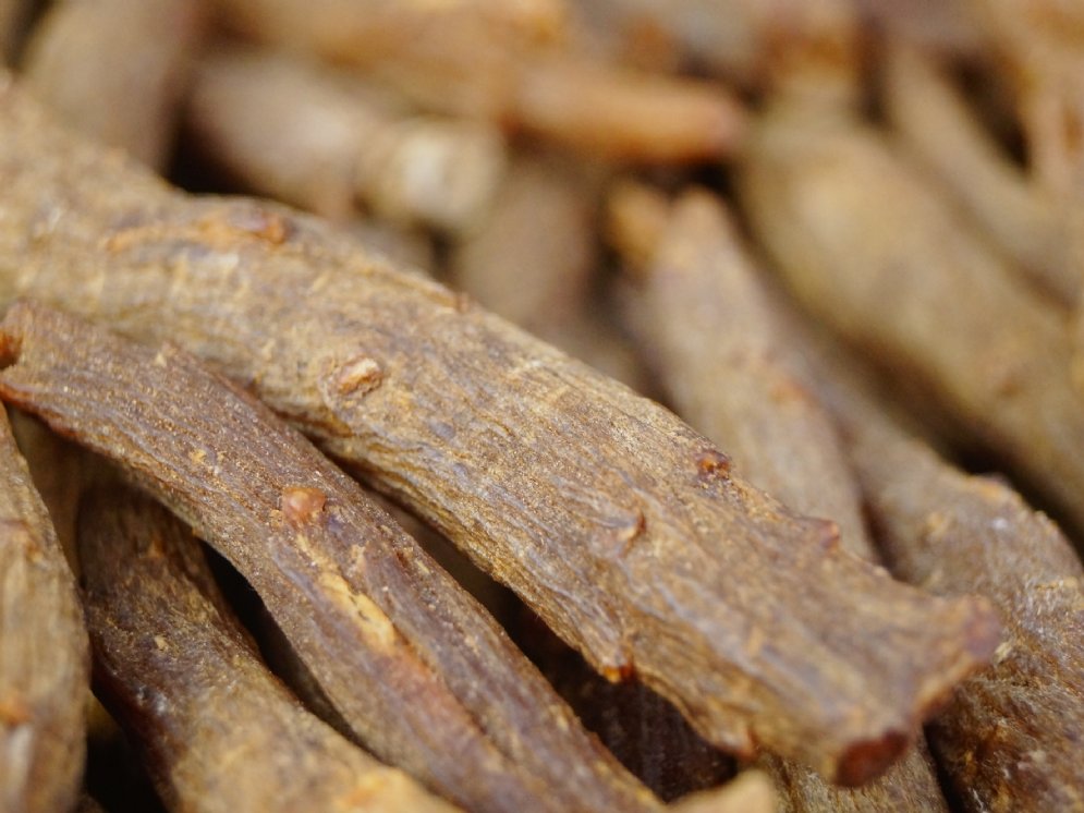 WL_Ginseng-Wurzeln rot © Adobe Stock