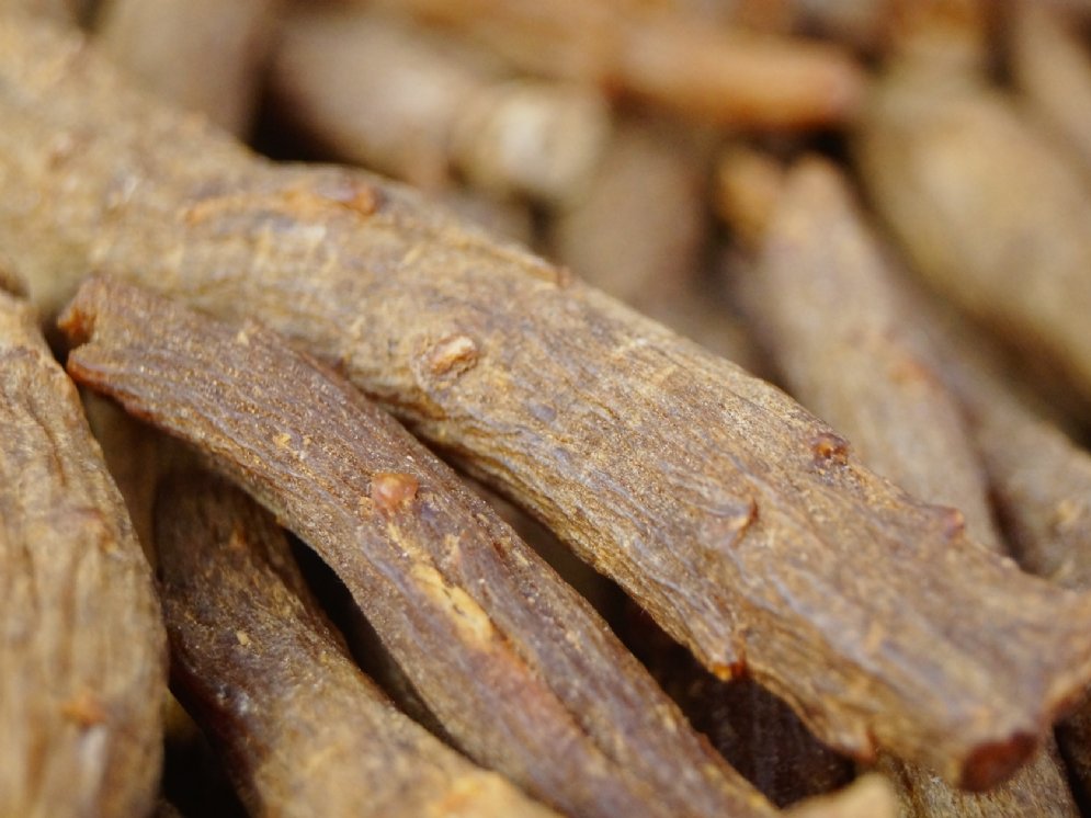 WL_Ginseng-Wurzeln rot © Adobe Stock