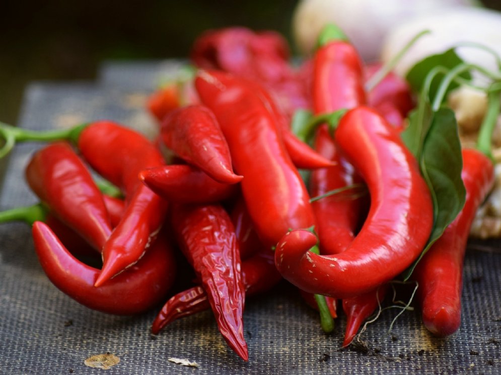 WL_Cayenne-Pfeffer (Chilli) © Pixabay (Thorsten Frenzel)