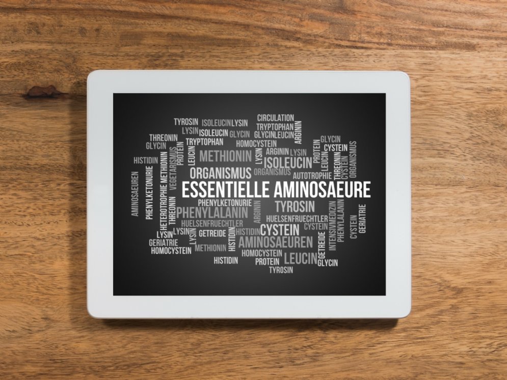 Aminosäuren Wordcloud Tafel © Adobe Stock