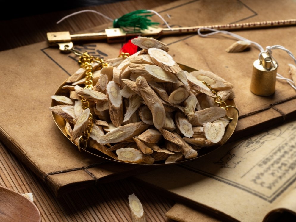 WL_Astragalus membranaceus © Adobe Stock