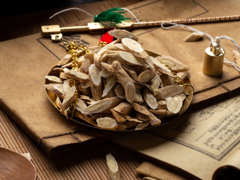 WL_Astragalus membranaceus © Adobe Stock