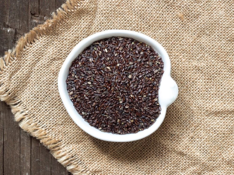 WL_Flohsamen ganz © Adobe Stock