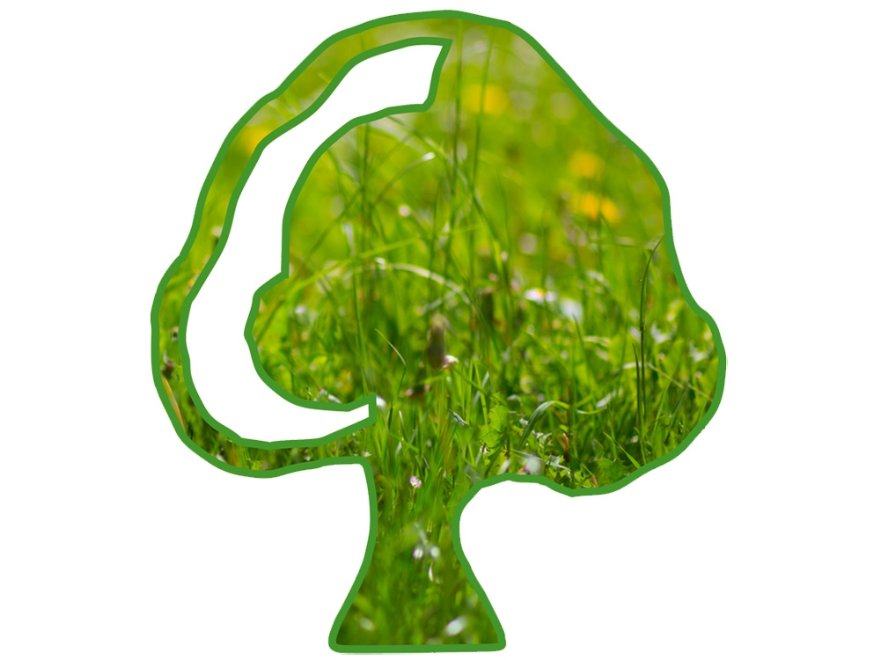 Logo_Kaiser Christine © Kaiser Christine