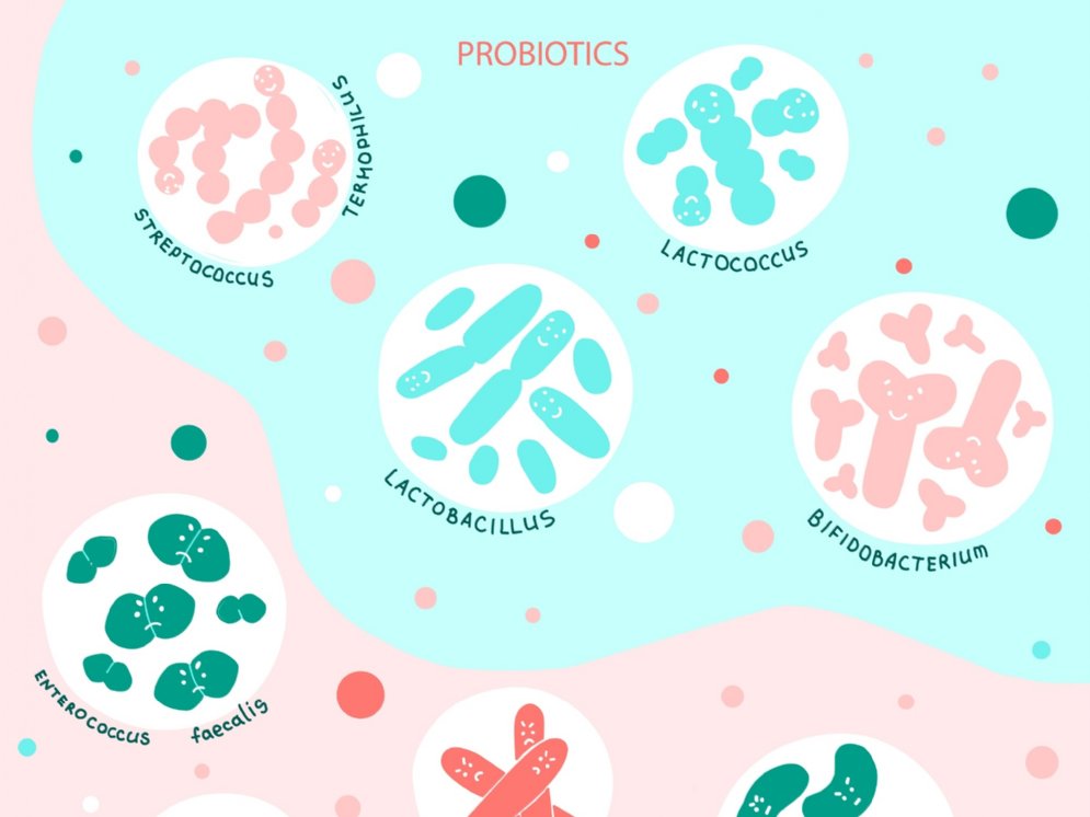 Probiotics © Adobe Stock