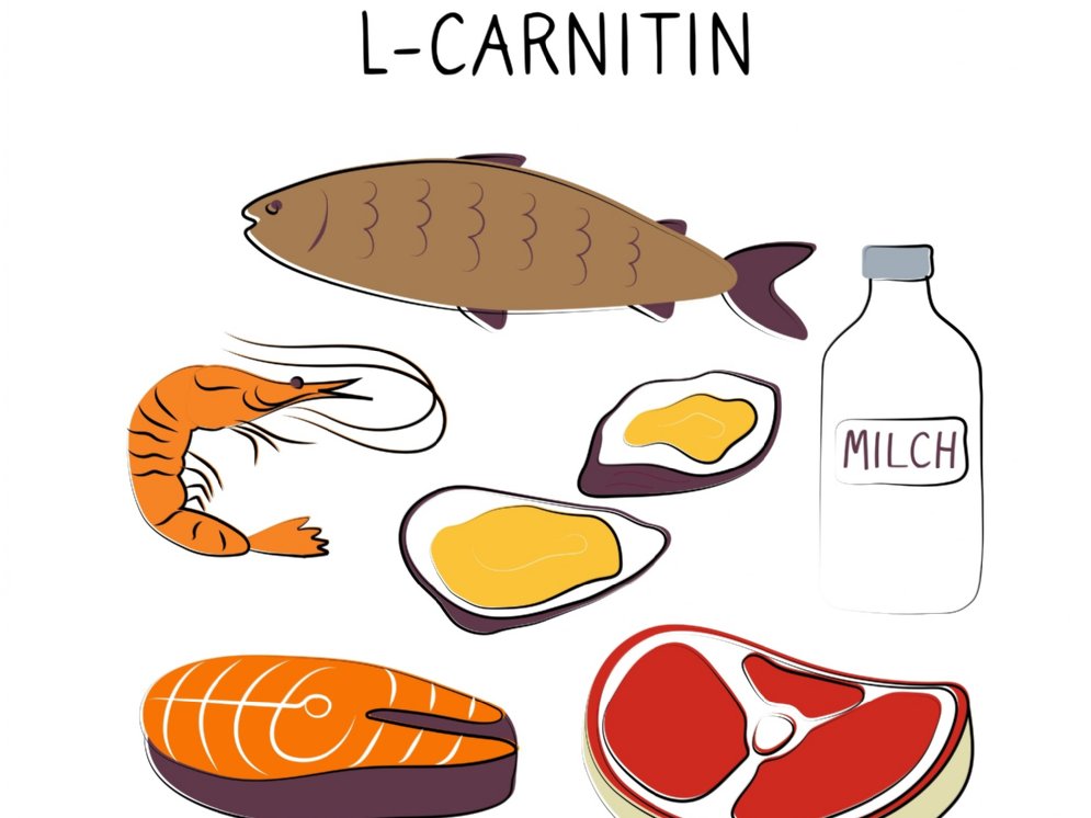 WL_Carnitin Lebensmittel © Adobe Stock