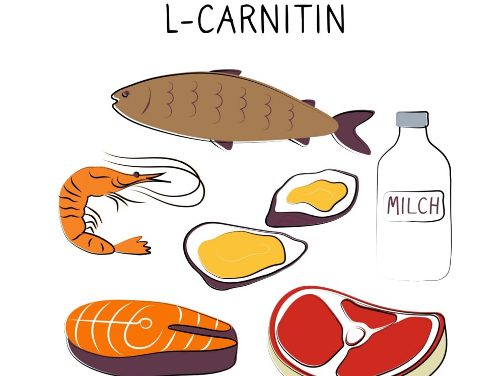 WL_Carnitin Lebensmittel © Adobe Stock