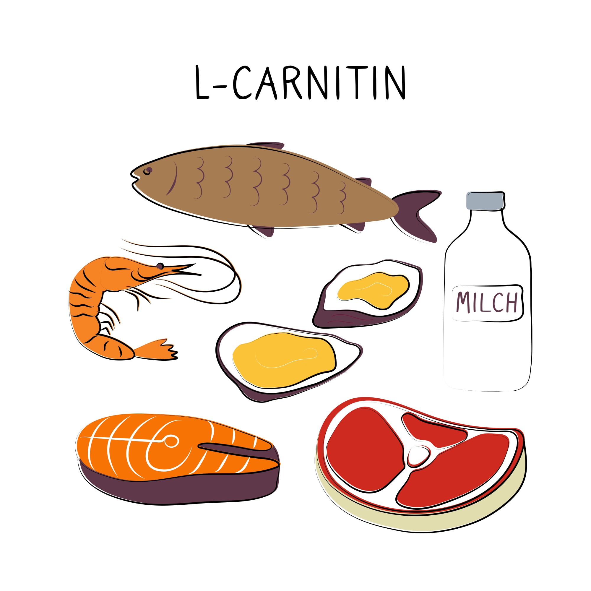 Acetyl-L-Carnitin