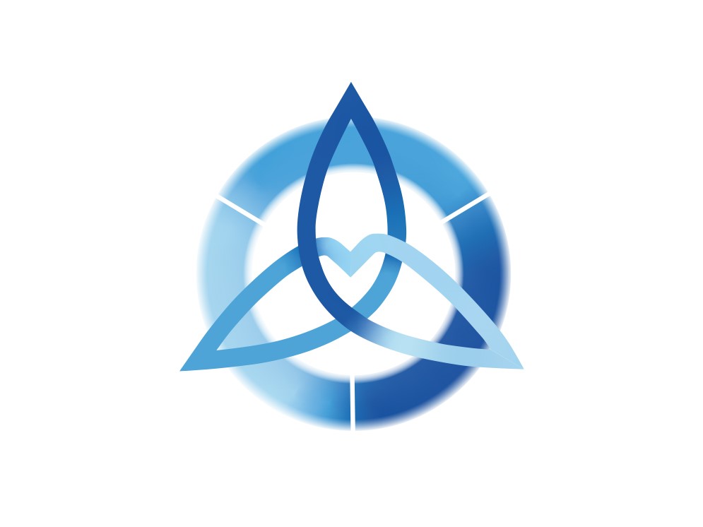 Biophysikalischer Matrix Chip © Auer Sandra