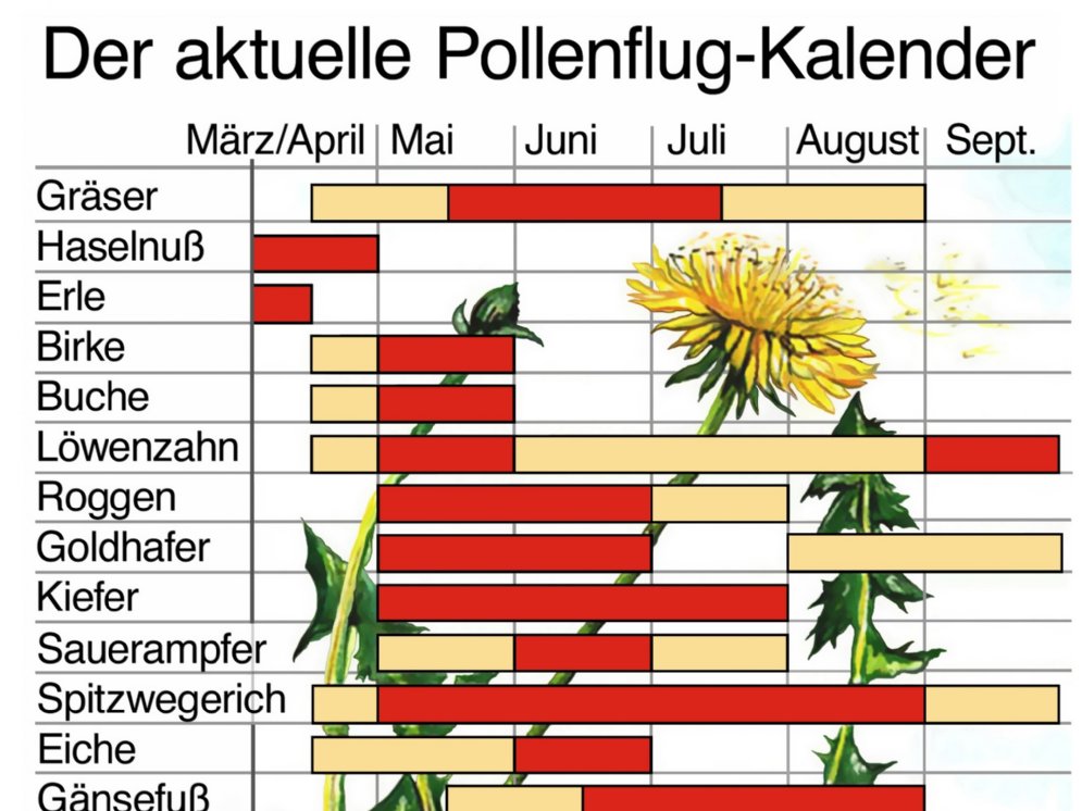 Pollenflugkalender © Adobe Stock