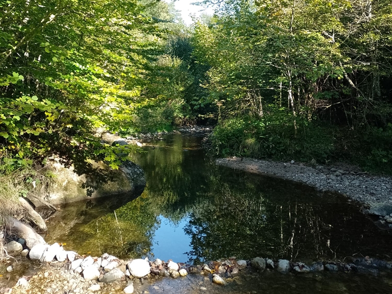 Gehgespräche © Claudia Schilchegger