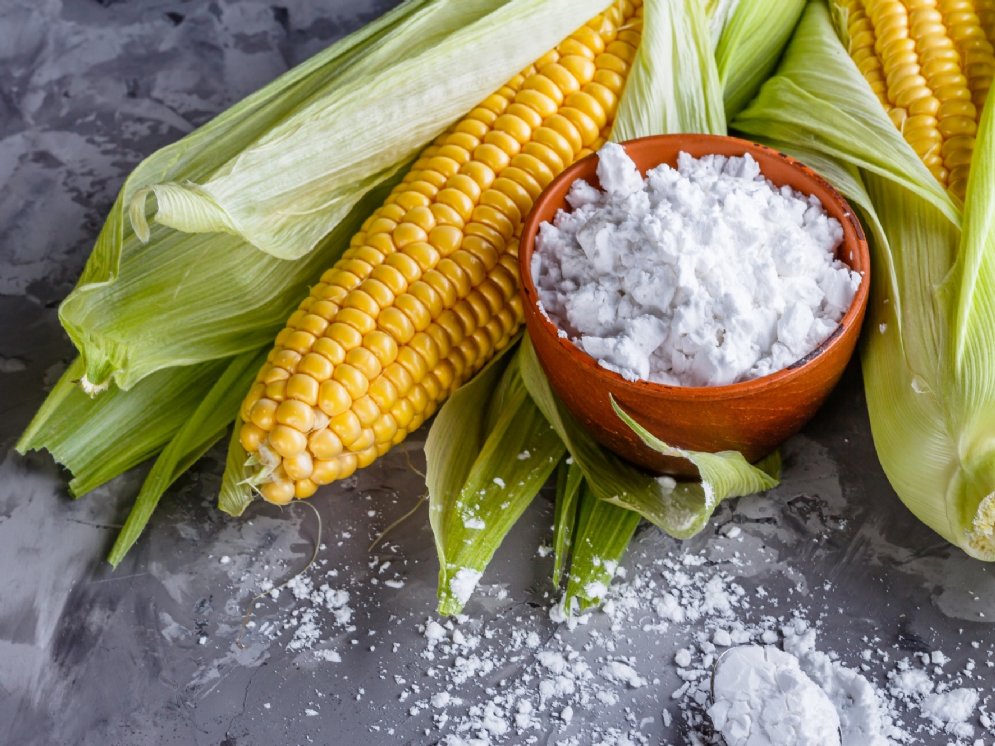 frischer Maiskolben mit geöffneten hellgrünen Lieschen und eine kleine braune Schale gefüllt mit äußerst feinem weißen Pulver