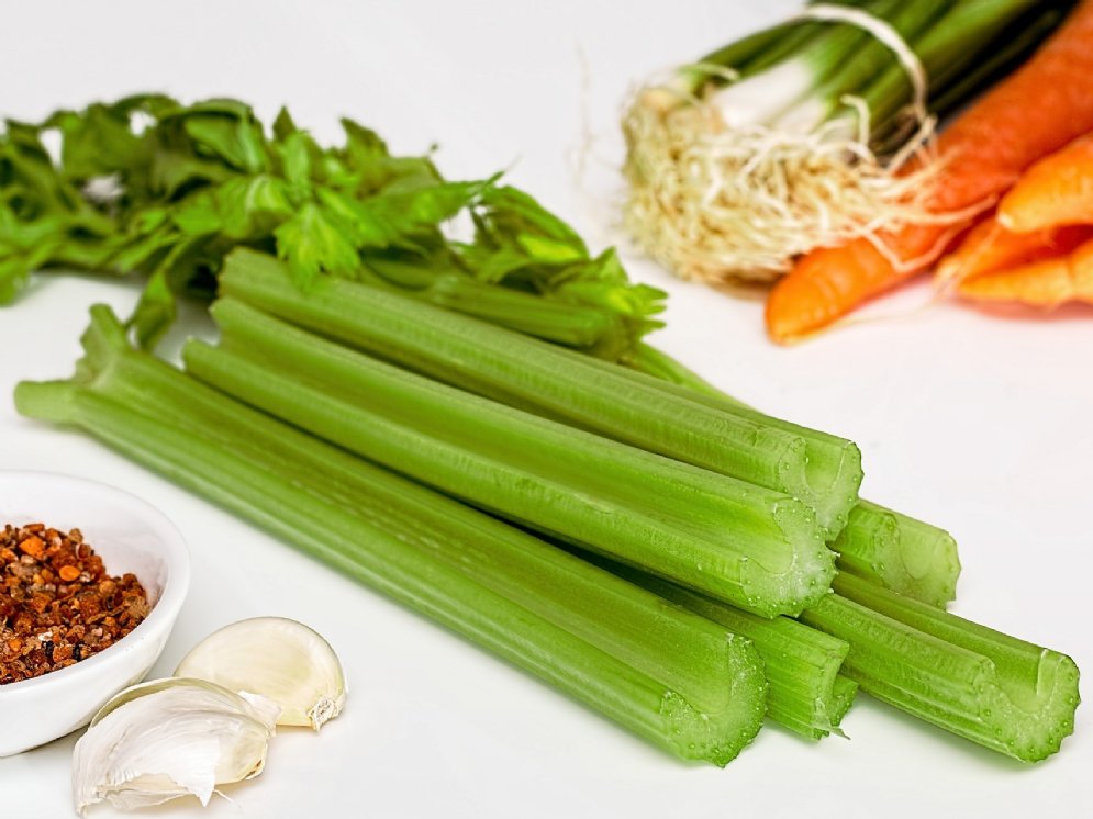 WL_Stangensellerie © Pixabay (stevepb)