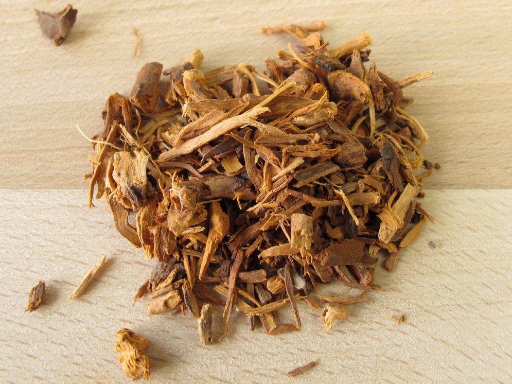 Ratanhia Wurzel © Adobe Stock