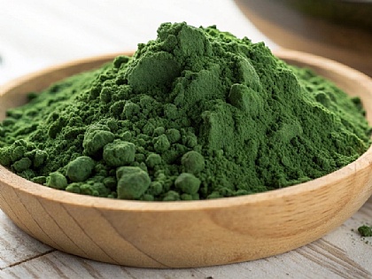 Chlorella