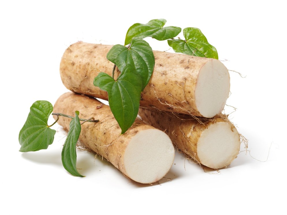 WL_Yamswurzel © Adobe Stock