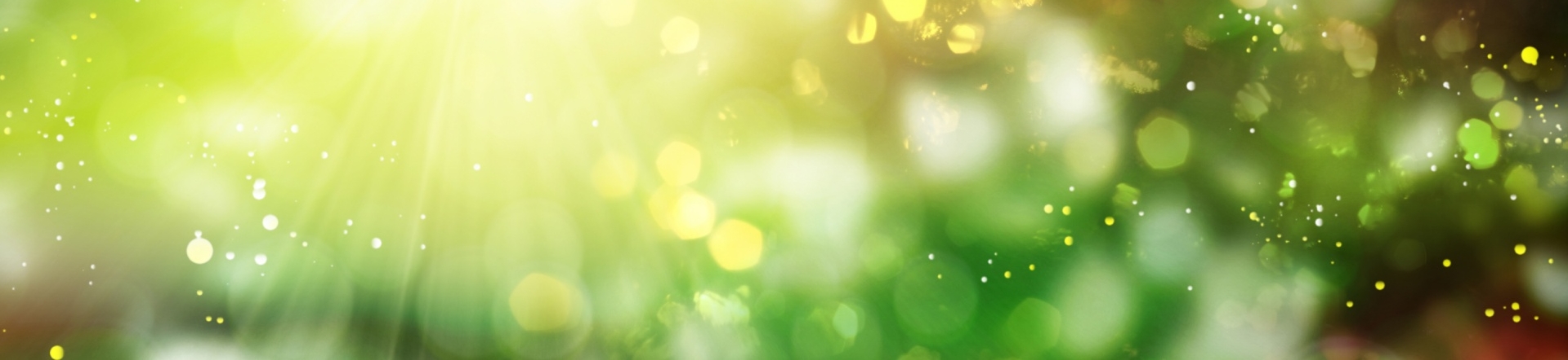 Hintergrundbild Natur mit Lichtstraheln © Adobe Stock