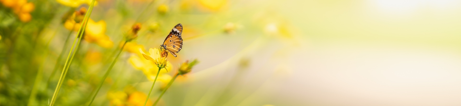 Nachhaltigkeit &copy; Adobe Stock