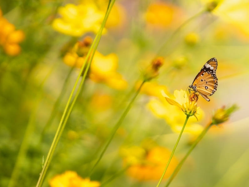 Nachhaltigkeit © Adobe Stock